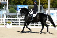 HSM_0950