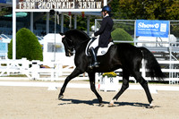 HSM_0951