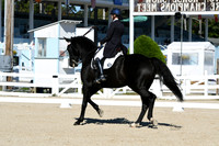 HSM_0954