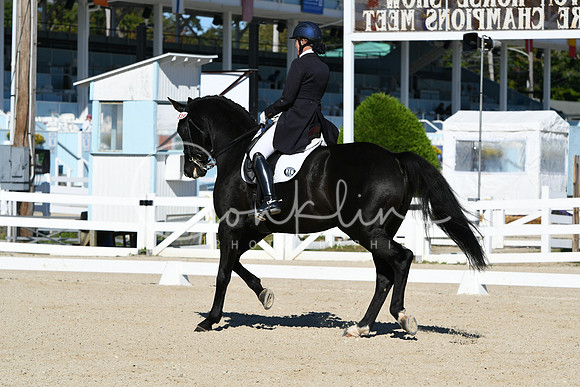 HSM_0954
