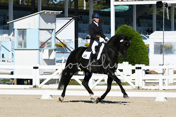 HSM_0962