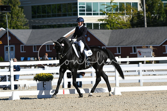HSM_0973