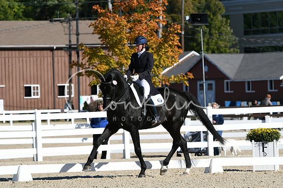 HSM_0977