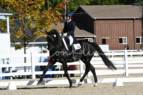 HSM_0981