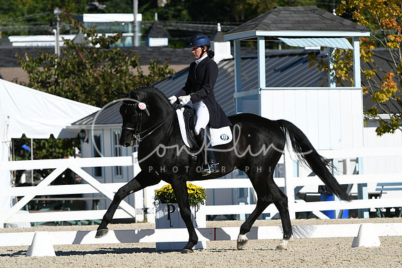HSM_0985