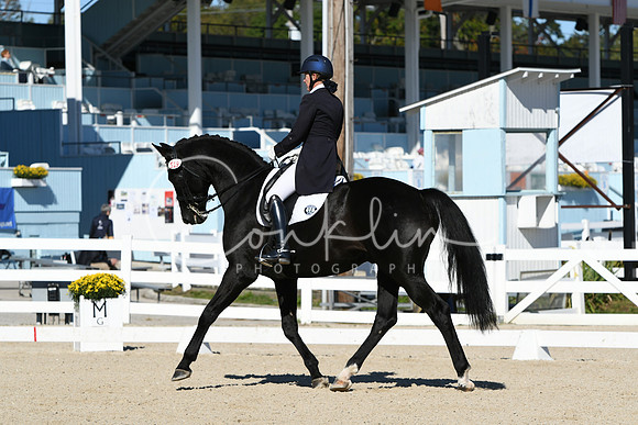 HSM_0997