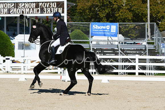 HSM_1031