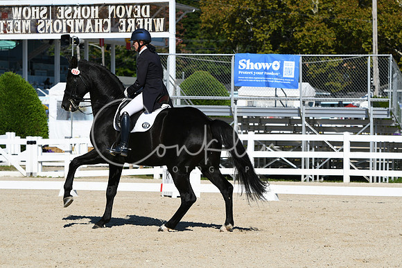 HSM_1032