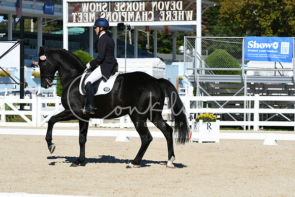 HSM_1033