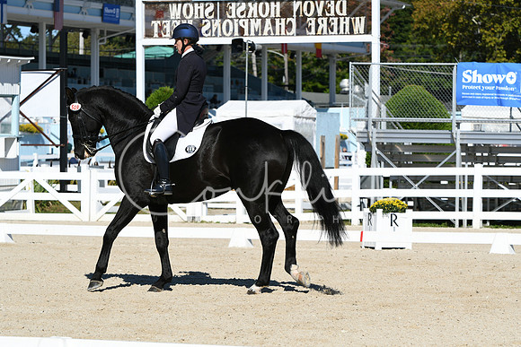 HSM_1034