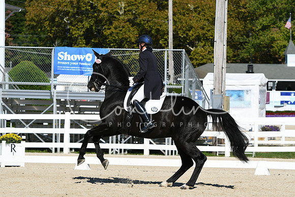 HSM_1041