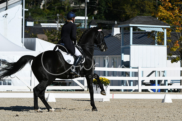 HSM_1052