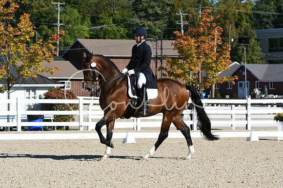 HSM_1088