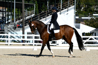 HSM_1091