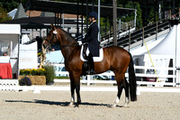 HSM_1094