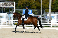 HSM_1097