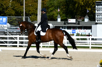 HSM_1095