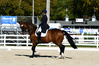 HSM_1096