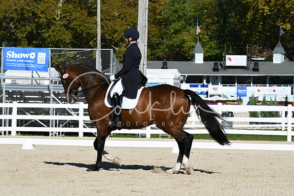 HSM_1096