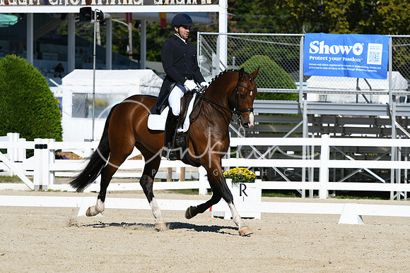 HSM_1106
