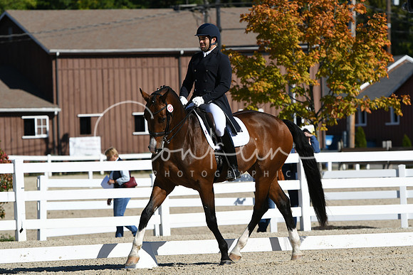 HSM_1115