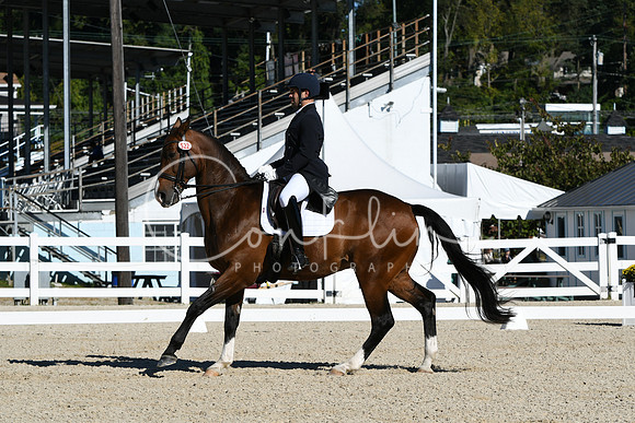 HSM_1138