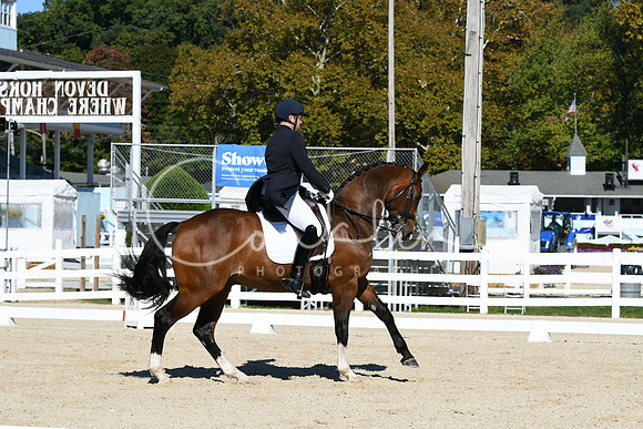 HSM_1151