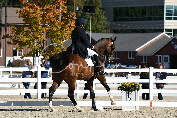 HSM_1157