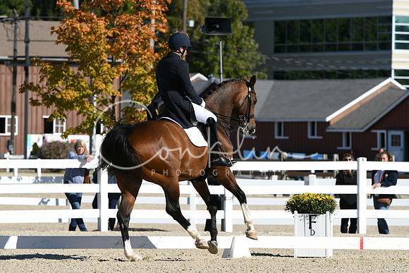 HSM_1156
