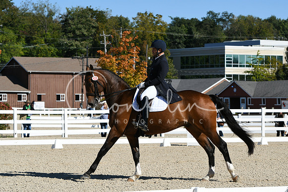 HSM_1158