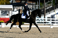 HSM_9841
