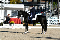 HSM_0193