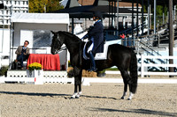 HSM_0195