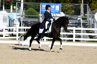 HSM_0206
