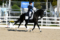 HSM_0207