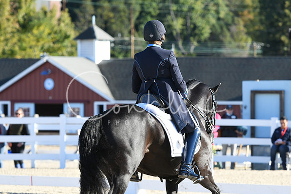 HSM_0212