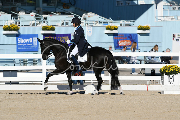 HSM_0247