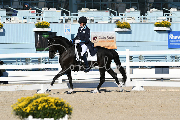 HSM_0250