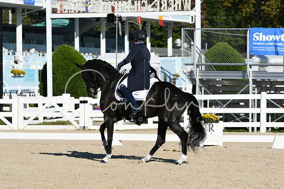 HSM_0267