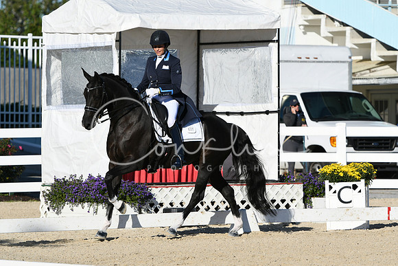 HSM_0269