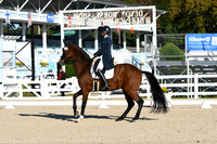 HSM_0019