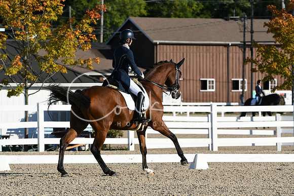 HSM_0027