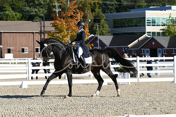 HSM_0327