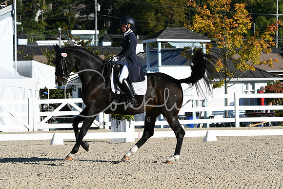 HSM_0328