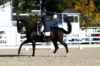 HSM_0329