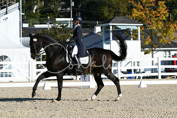 HSM_0329