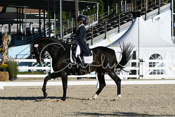 HSM_0331