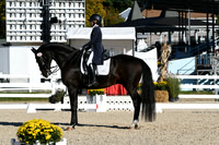 HSM_0333