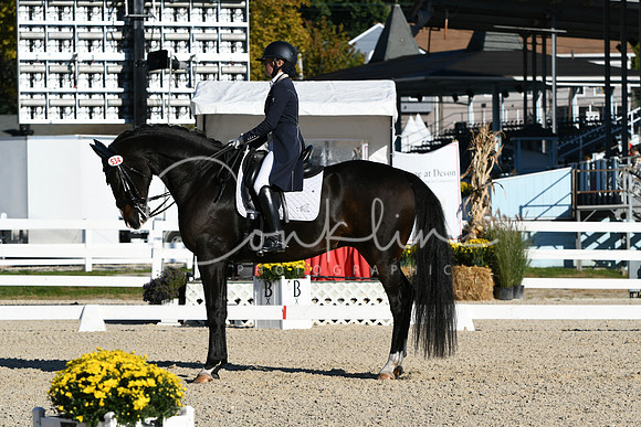 HSM_0333