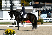 HSM_0334